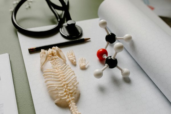 Pourquoi consulter un chiropraticien ?