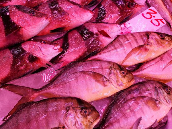 Comment la méditation peut aider à prévenir les maladies chez les seniors